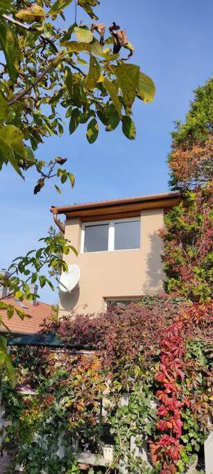 Flora House 3 Minutes From Lake Balaton Keszthely Bagian luar foto